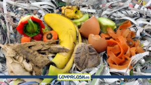 Lee más sobre el artículo ¿Qué es un envase compostable?
