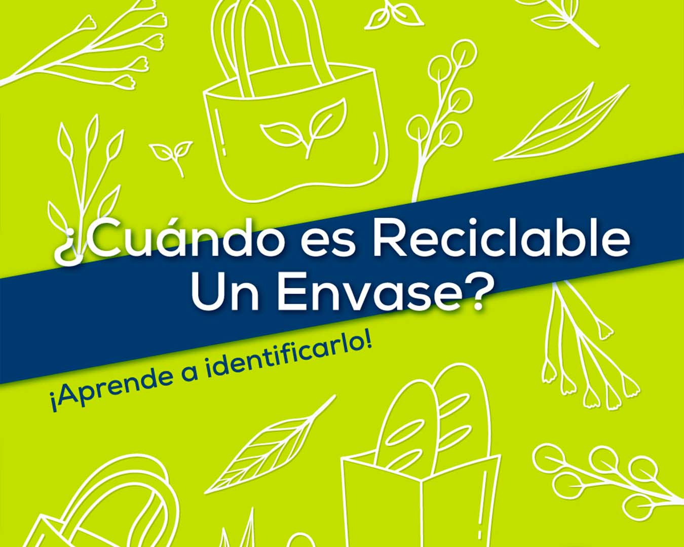 En este momento estás viendo ¿Cuándo es reciclable un envase? Guía rápida para identificarlo